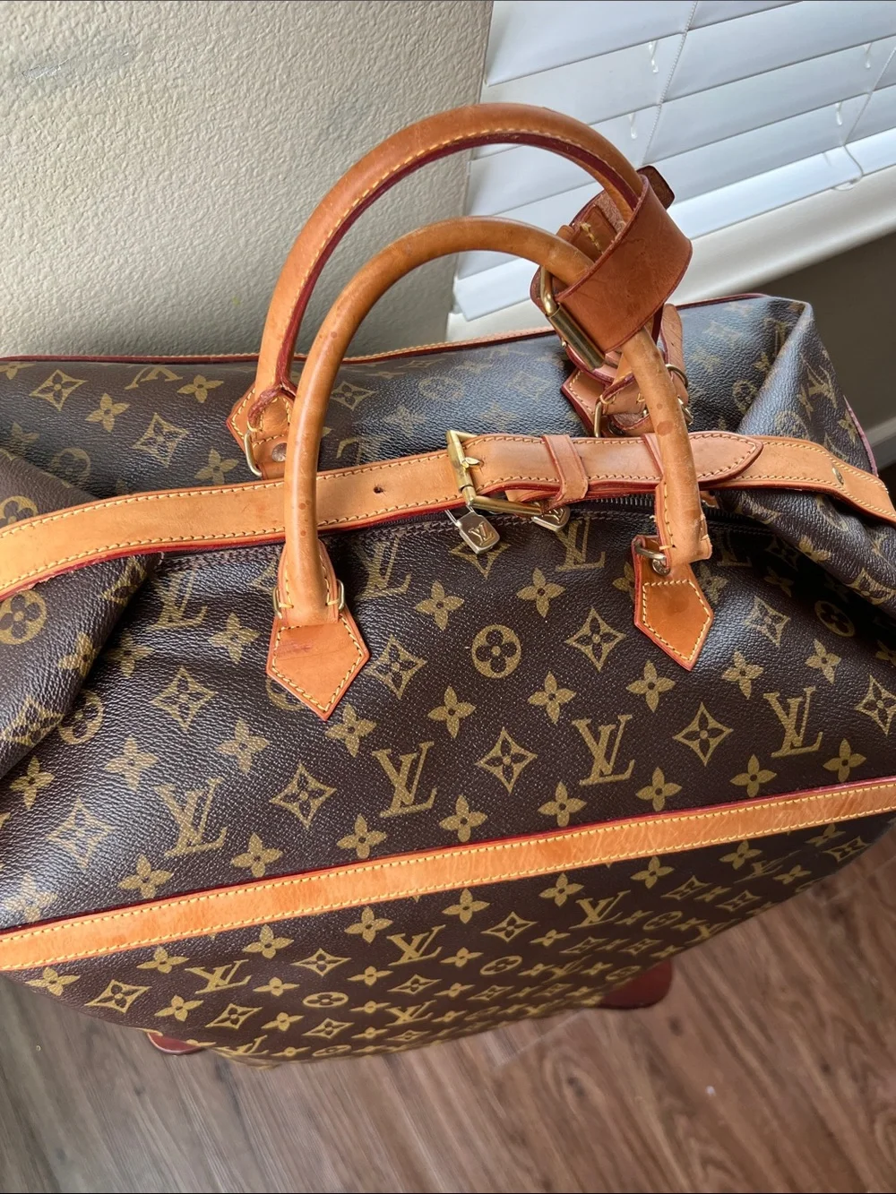 Louise Vuitton Canvas Travel Bag